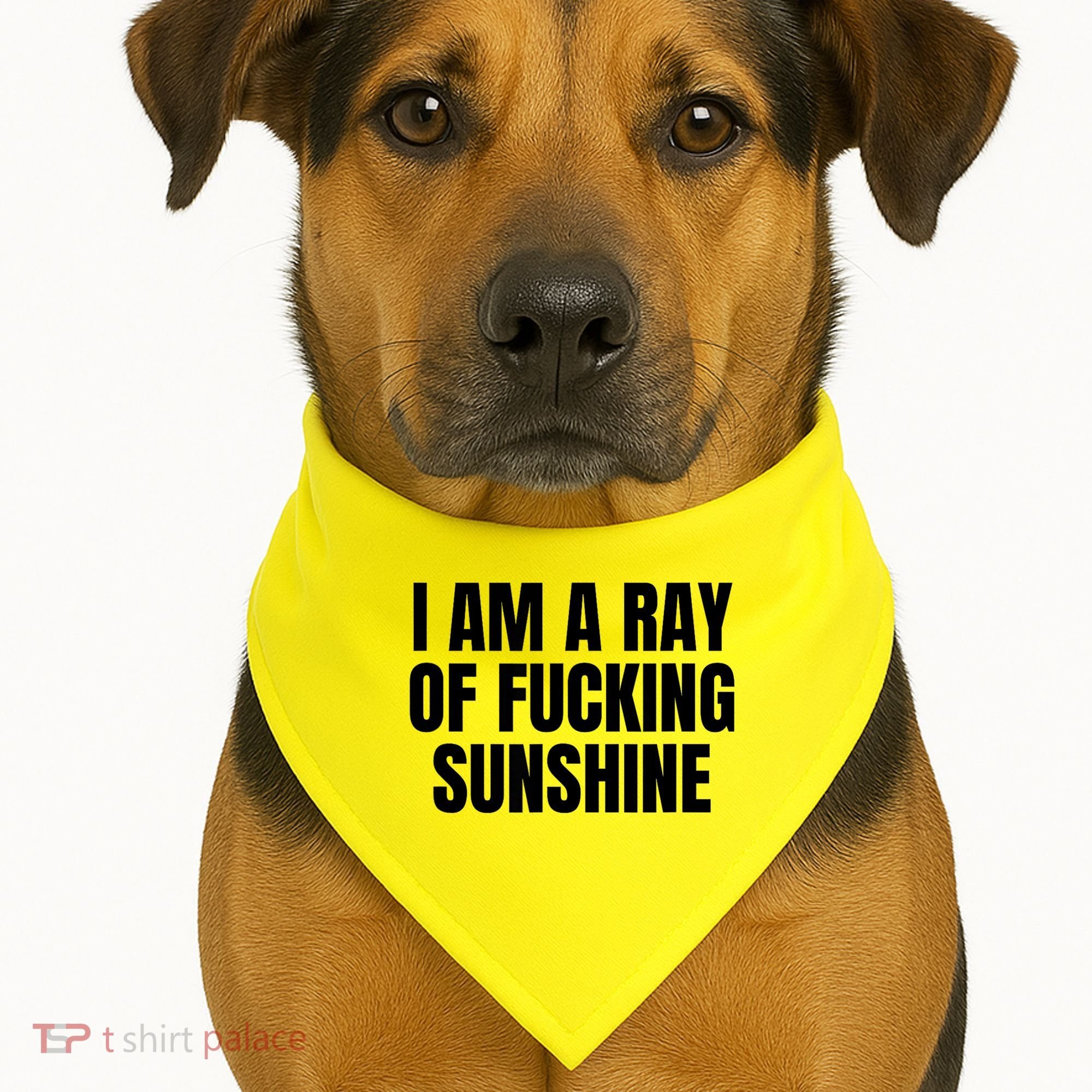 Ray Of Sunshine USA-Made Doggie Bandana