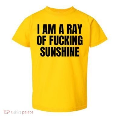 Ray Of Sunshine Toddler T-Shirt