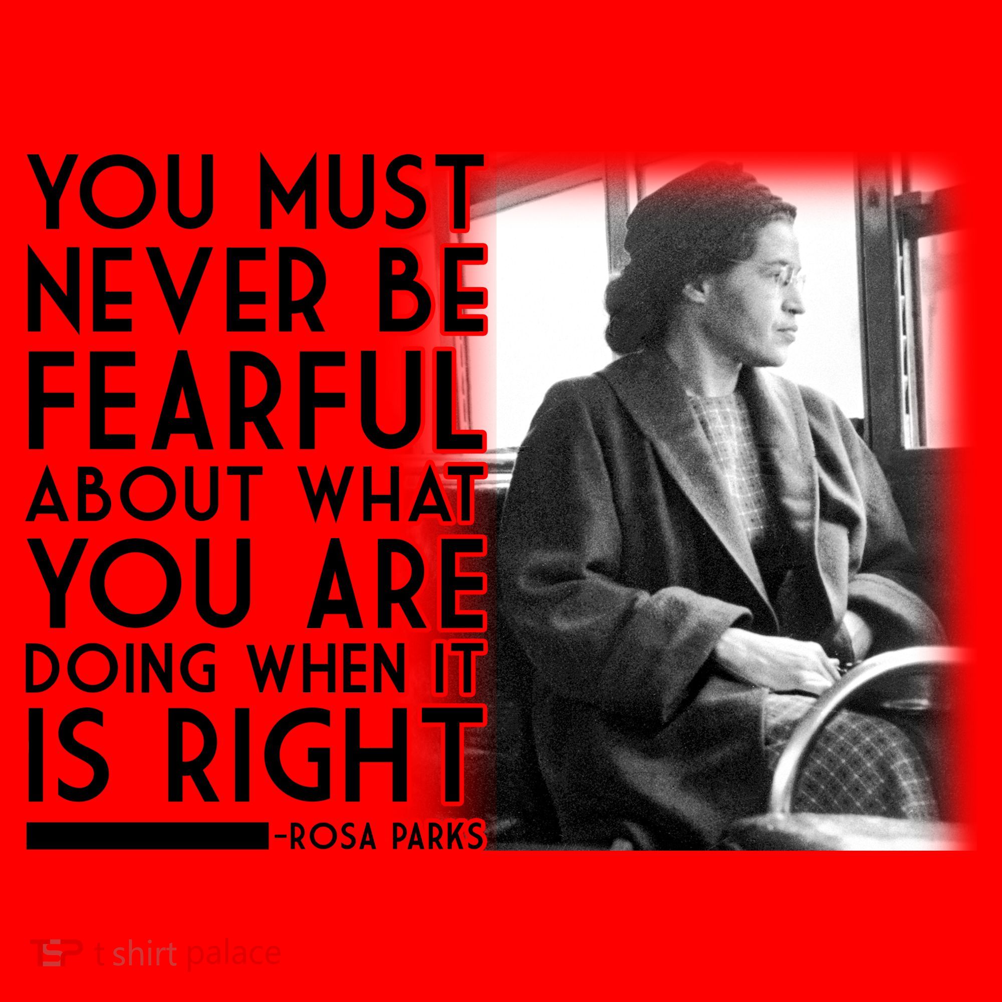 Rosa Parks Never be Fearful Black History Santa Hat