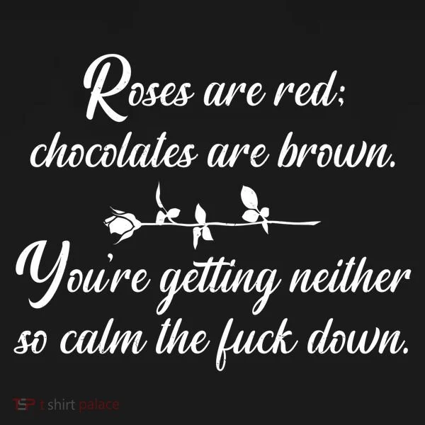 Rose Are Red Chocolates Are Brown Women's T-Shirt