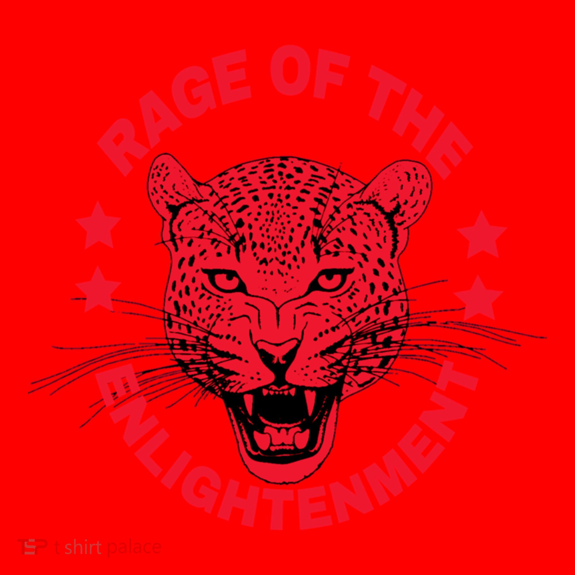 Rage Of The Enlightenment Santa Hat