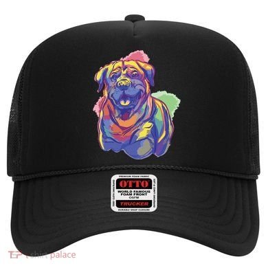 Rottweiler Colorful Dog Hat