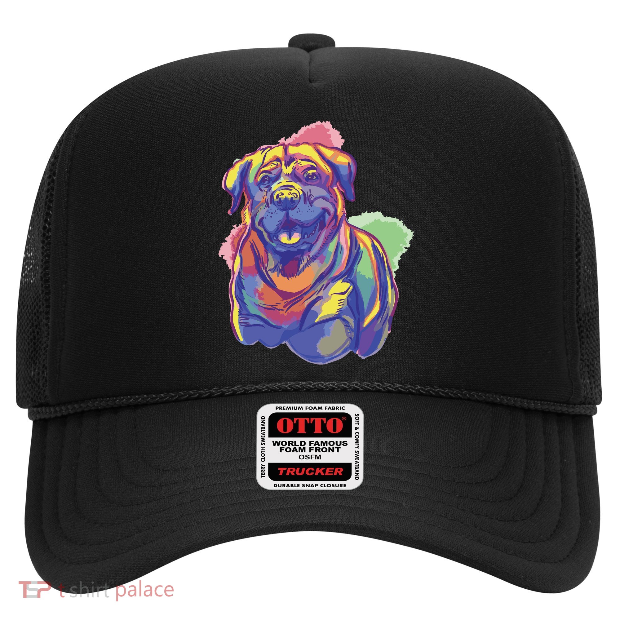 Rottweiler Colorful Dog Hat