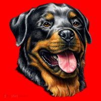 Rottweiler Face Santa Hat thumb 1