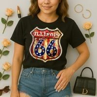 Route 66 Illinois Comfort Colors Boxy T-Shirt thumb 2