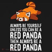 Red Panda Always Be Yourself Unless You Can Be A Red Panda Women's Hoodie thumb 2