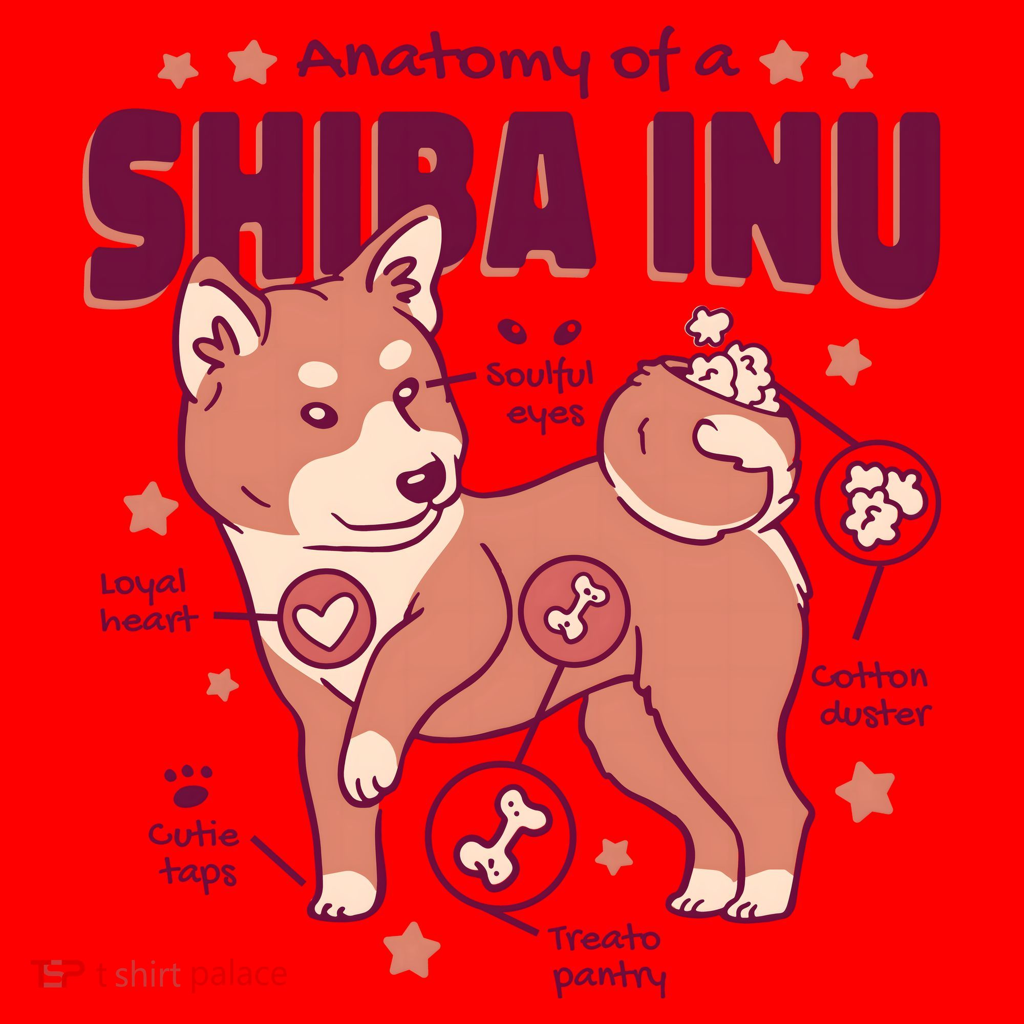 Red Panda Anatomy Santa Hat