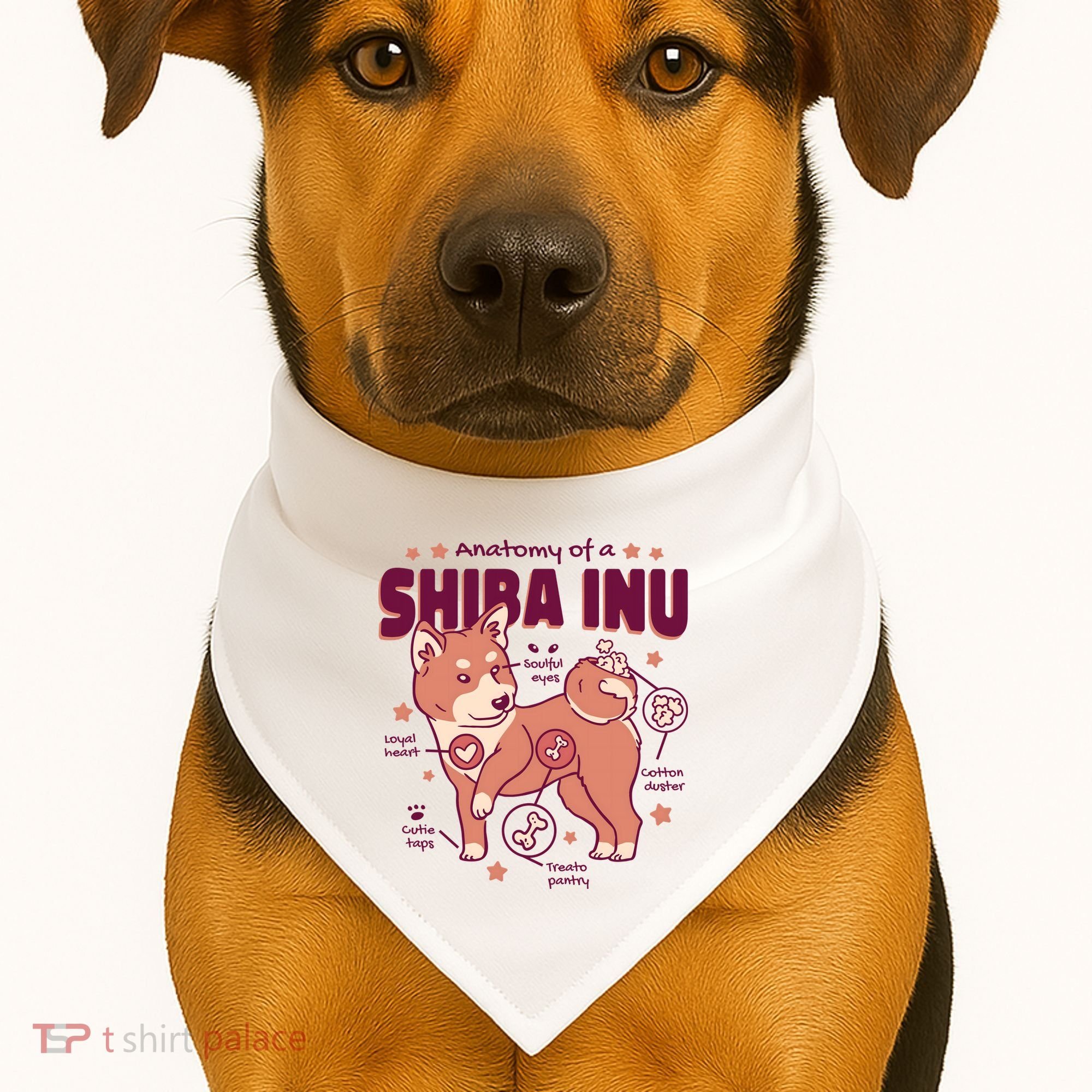 Red Panda Anatomy USA-Made Doggie Bandana
