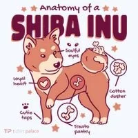 Red Panda Anatomy Women's T-Shirt thumb 6