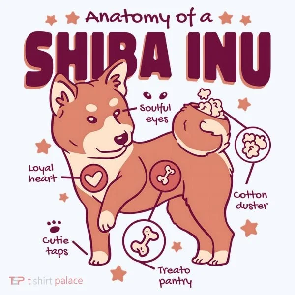 Red Panda Anatomy Women's T-Shirt