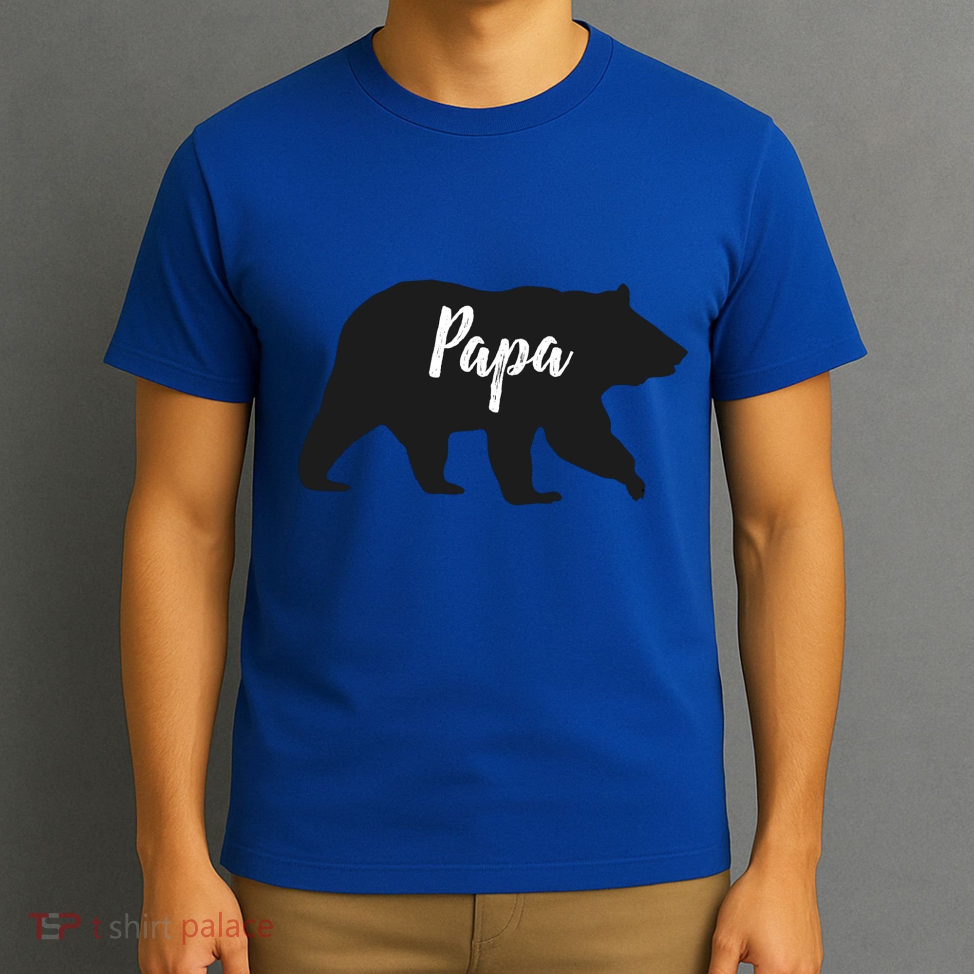 Rustic Papa Bear Funny Gift T-Shirt