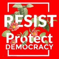 Resist Protect Democracy Subtle Retro Floral Anti Trump  Santa Hat thumb 1