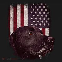 Realistic Patriotic Dog Portrait With USA Flag Backdrop Women's Hoodie thumb 2