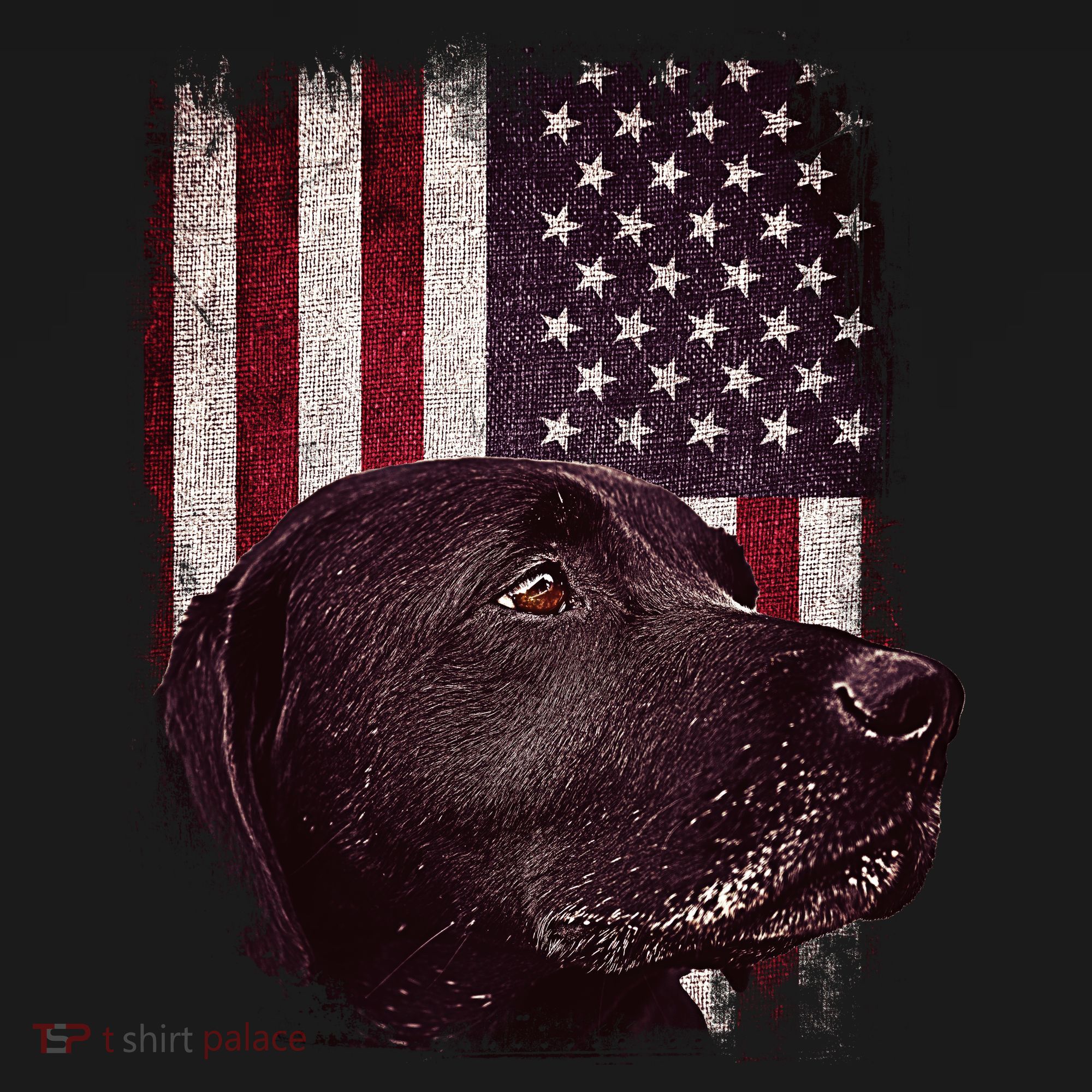 Realistic Patriotic Dog Portrait With USA Flag Backdrop Women's Hoodie