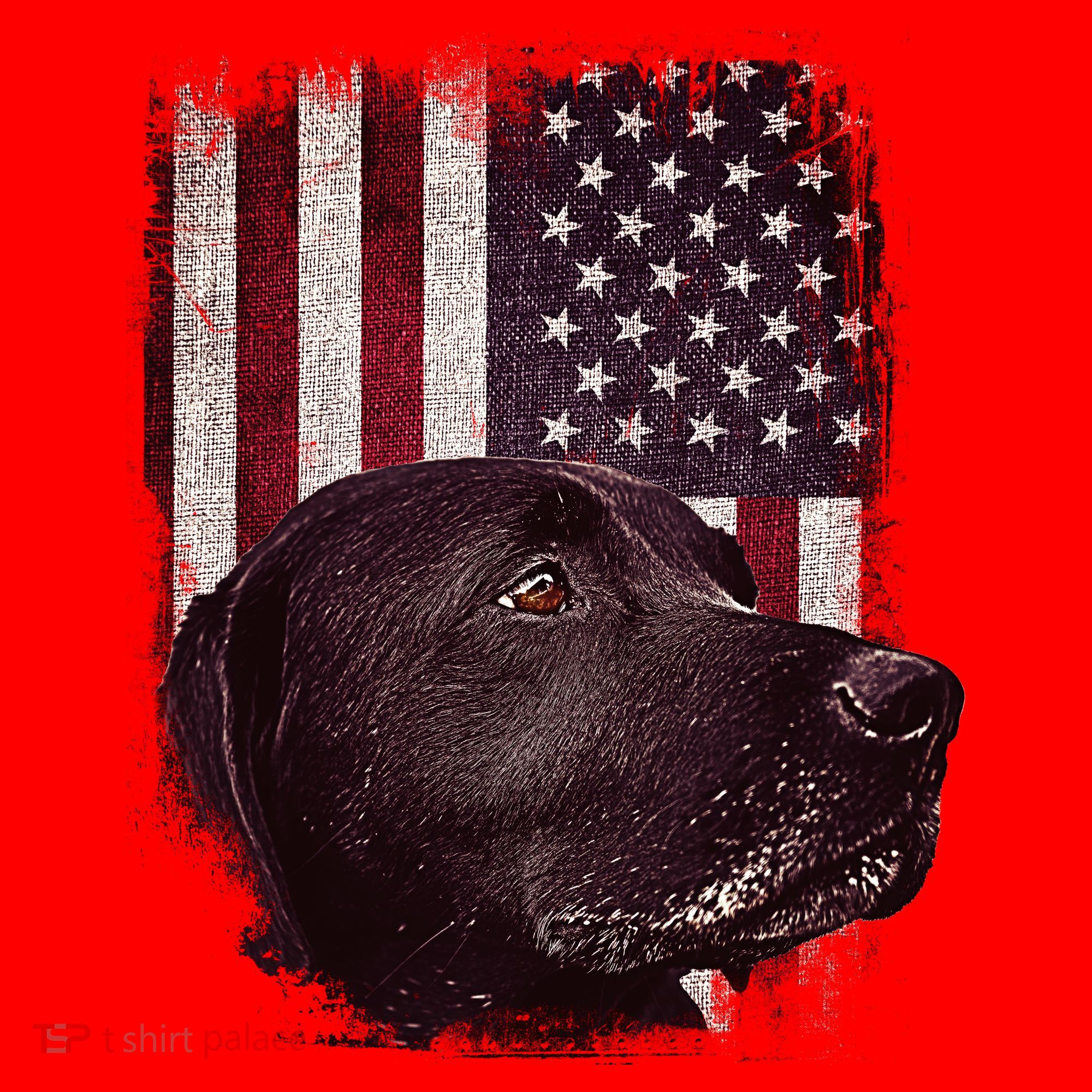 Realistic Patriotic Dog Portrait With USA Flag Backdrop Santa Hat