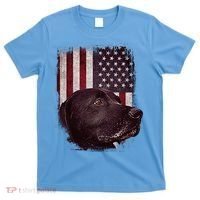 Realistic Patriotic Dog Portrait With USA Flag Backdrop T-Shirt thumb 0