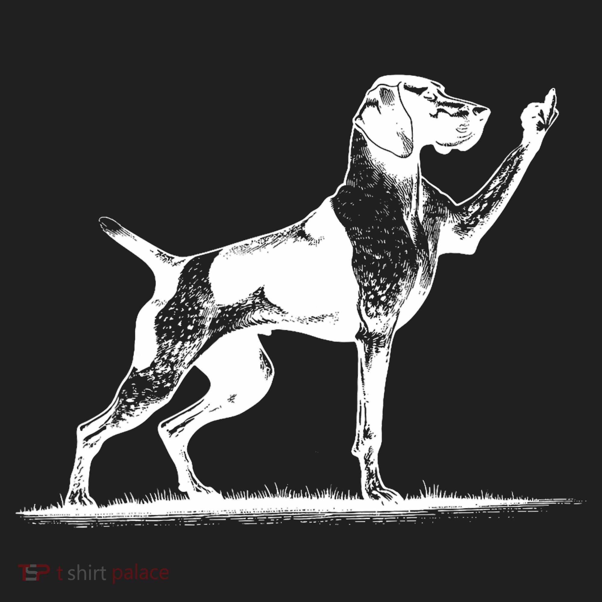 Rude Pointer Dog Asshole German Shorthaired Pointer Dog Women's Sweatshirt