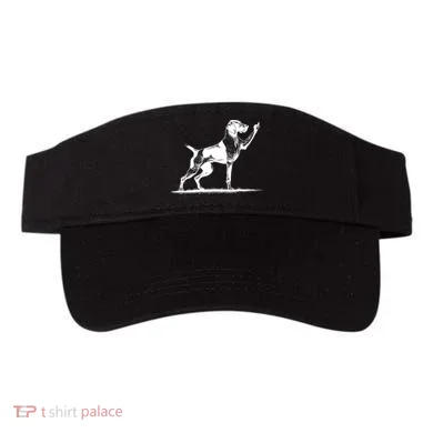 Visor