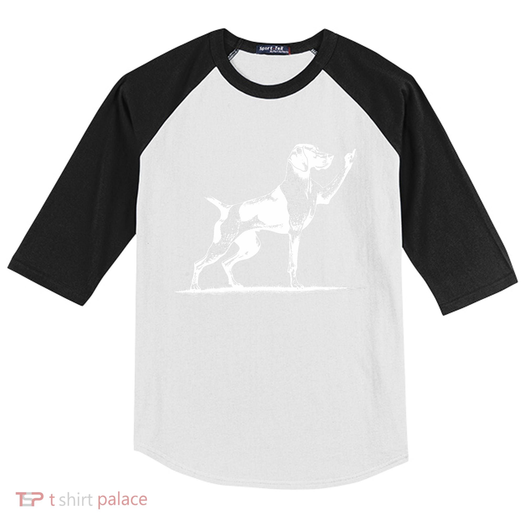 Rude Pointer Dog Asshole German Shorthaired Pointer Dog Kids Colorblock Raglan Jersey