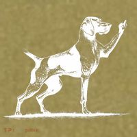 Rude Pointer Dog Asshole German Shorthaired Pointer Dog Garment-Dyed Women's Muscle Tee thumb 6