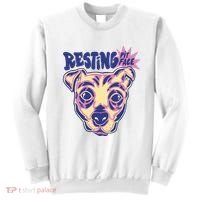 Resting Pit Face Funny Pit Bull Dog Sweatshirt thumb 0