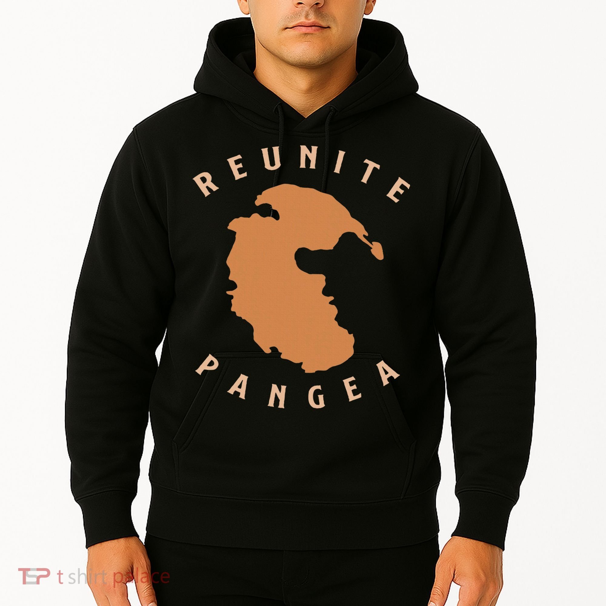 Reunite Pangea Geology Hoodie