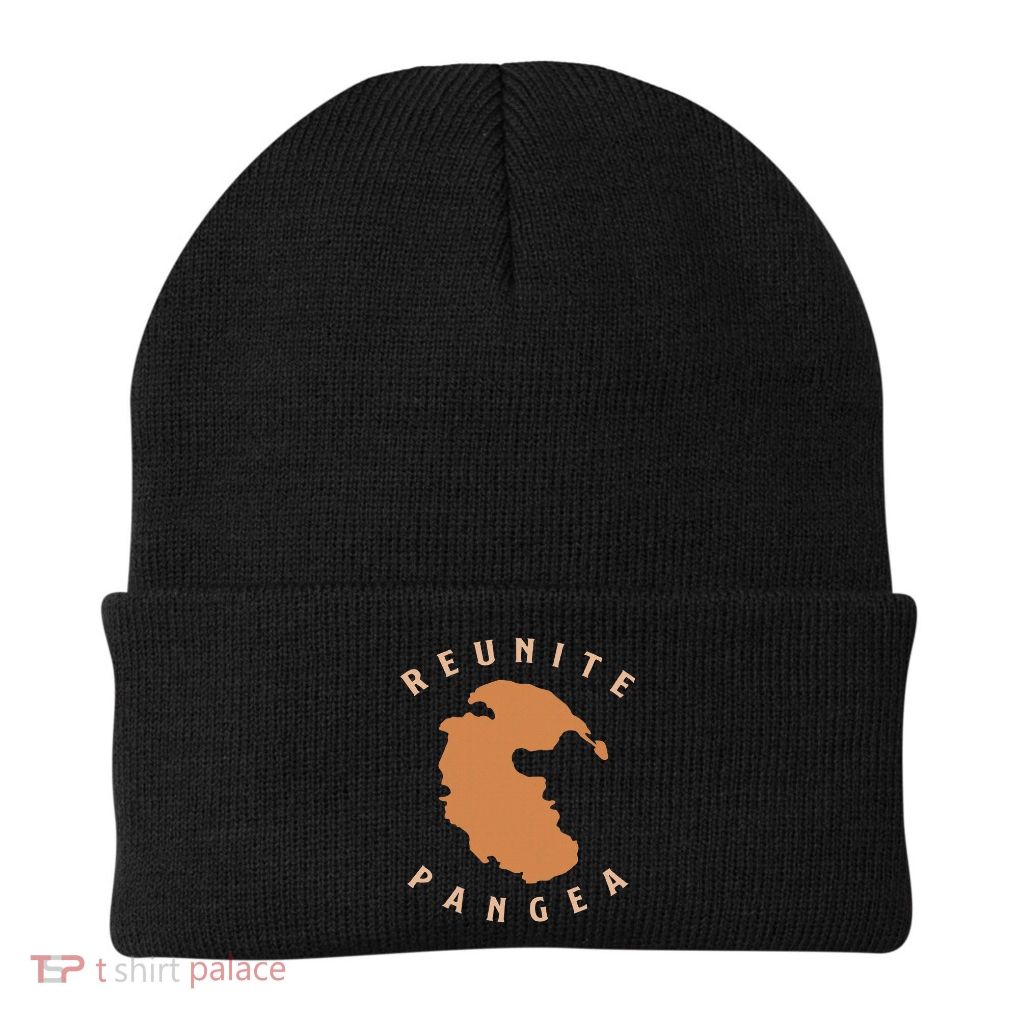 Reunite Pangea Geology Beanie