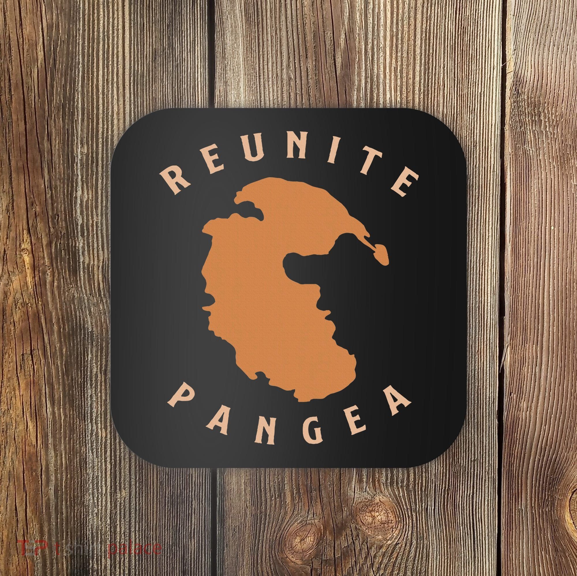 Reunite Pangea Geology Coaster