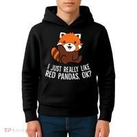 Red Panda Lover I Just Really Like Red Pandas Ok Kids Hoodie thumb 4