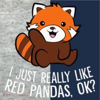 Red Panda Lover I Just Really Like Red Pandas Ok Kids Colorblock Raglan Jersey thumb 2