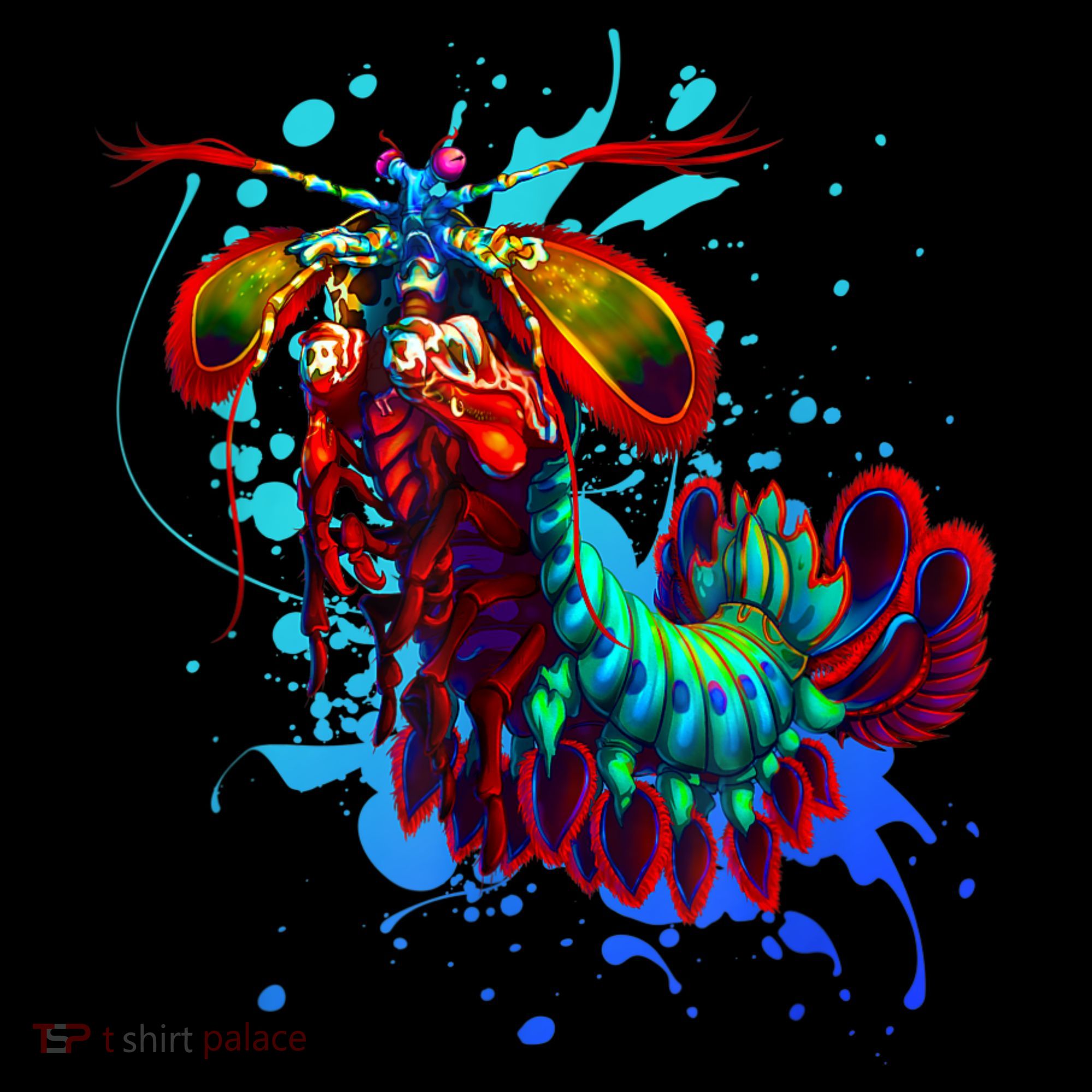 Rainbow Peacock Mantis Shrimp Blue Splash Coaster