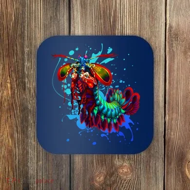 Coaster