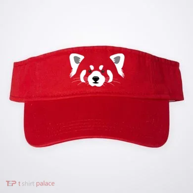 Visor