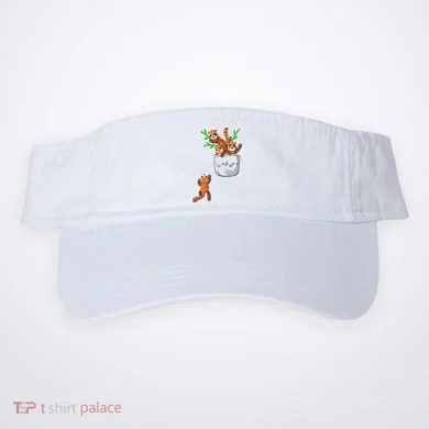 Visor