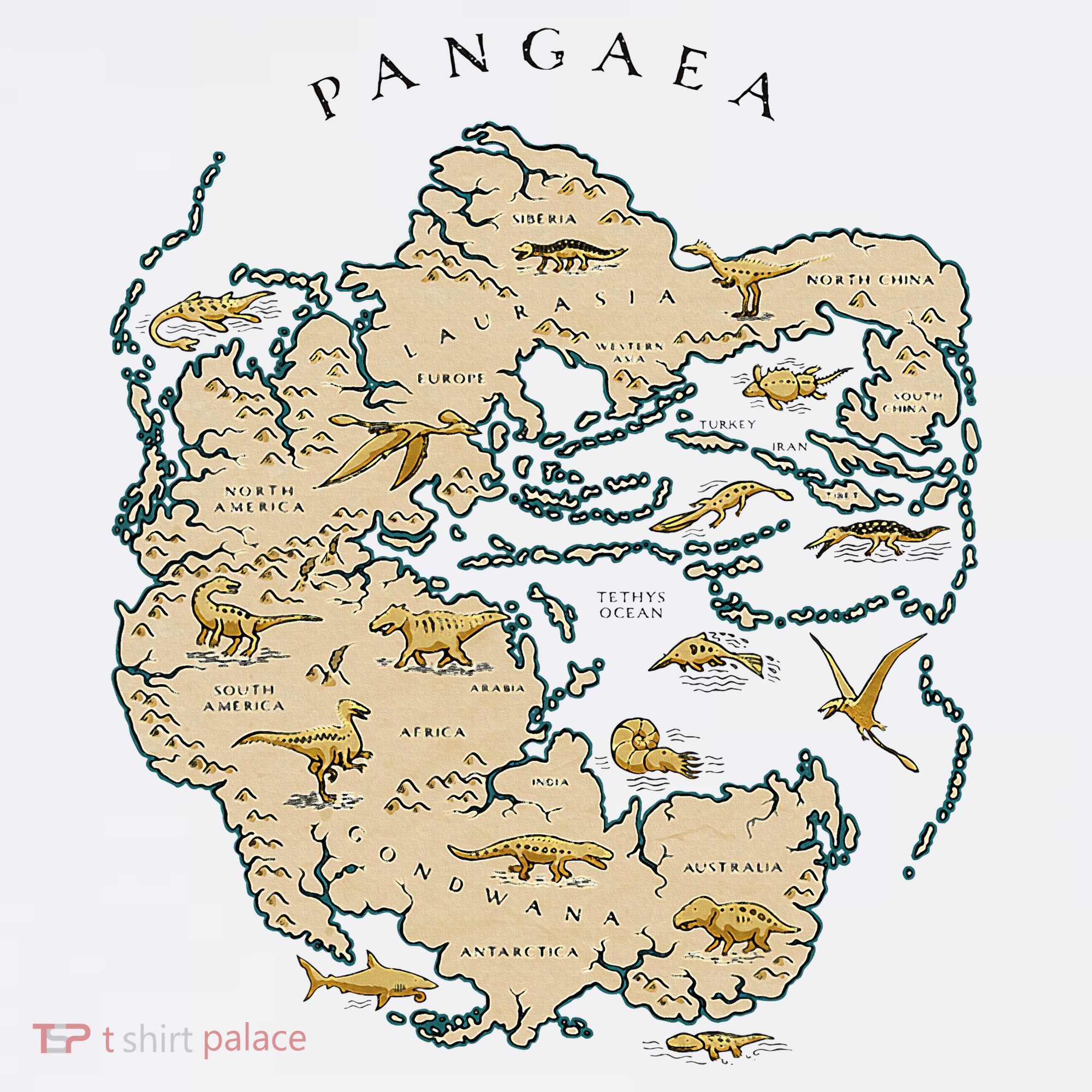 Reunite Pangaea World Map History Geology Earth Geologist Polo