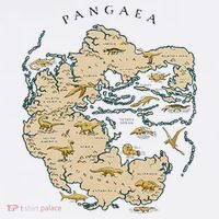 Reunite Pangaea World Map History Geology Earth Geologist Women's Hoodie thumb 2