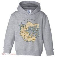 Reunite Pangaea World Map History Geology Earth Geologist Toddler Hoodie thumb 0