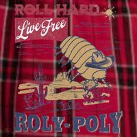 Roly Poly Western Rodeo Cowboy Dung Beetle Retro Men's Flannel Plaid Pajama Pants thumb 2
