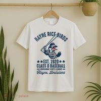 Rayne Rice Birds Louisiana Vintage Baseball Team Tribute T-Shirt thumb 2