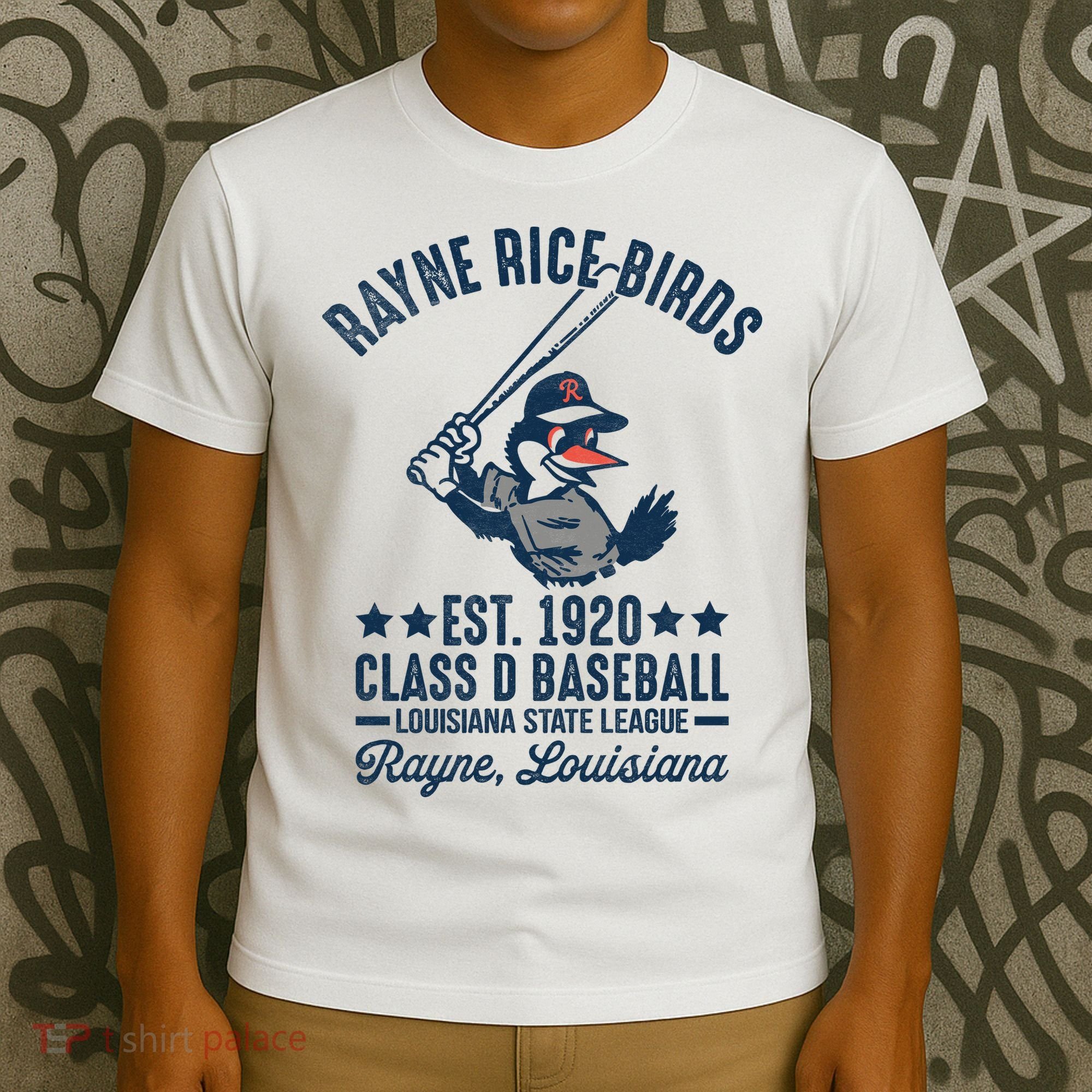 Rayne Rice Birds Louisiana Vintage Baseball Team Tribute T-Shirt