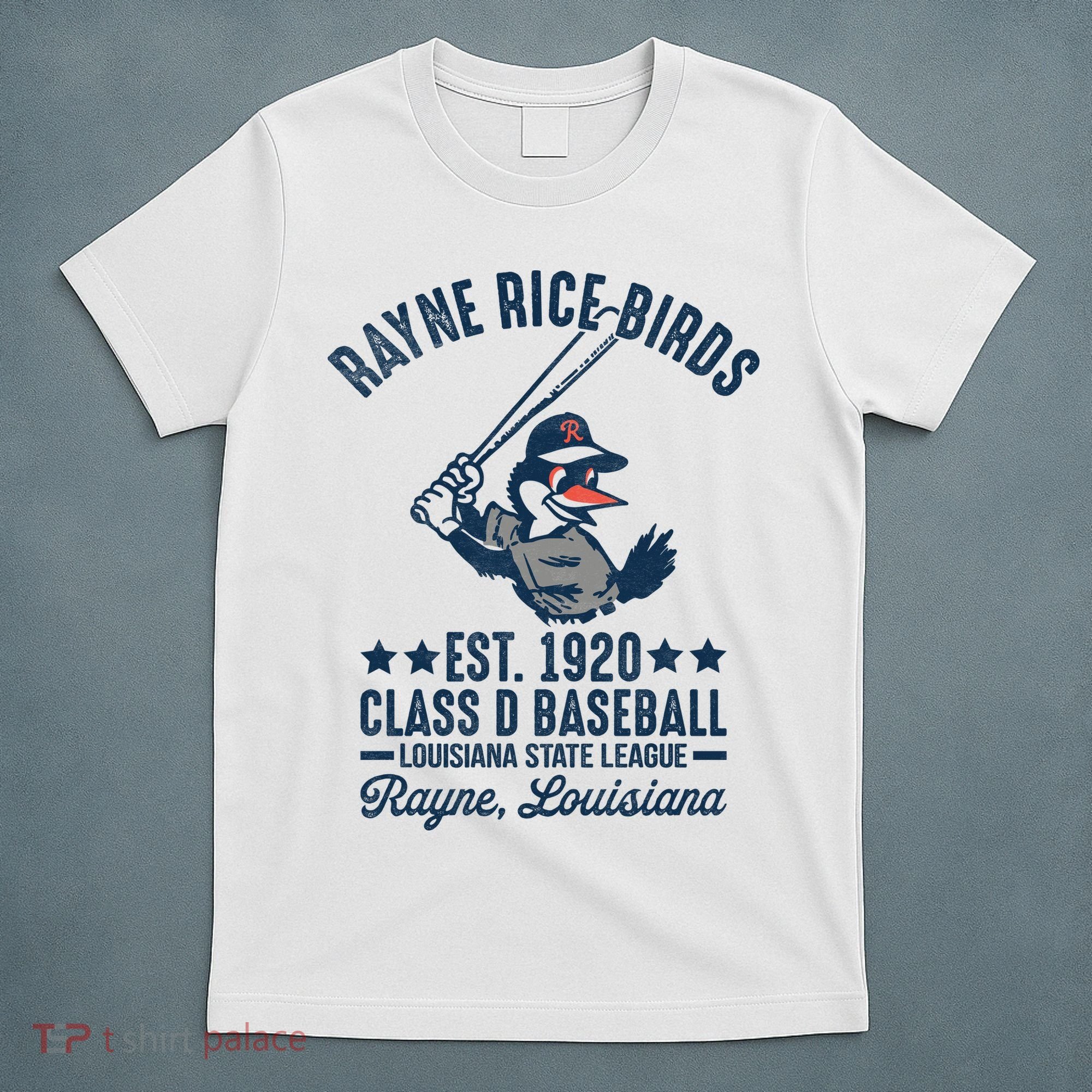 Rayne Rice Birds Louisiana Vintage Baseball Team Tribute T-Shirt