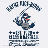 Rayne Rice Birds Louisiana Vintage Baseball Team Tribute T-Shirt thumb 7
