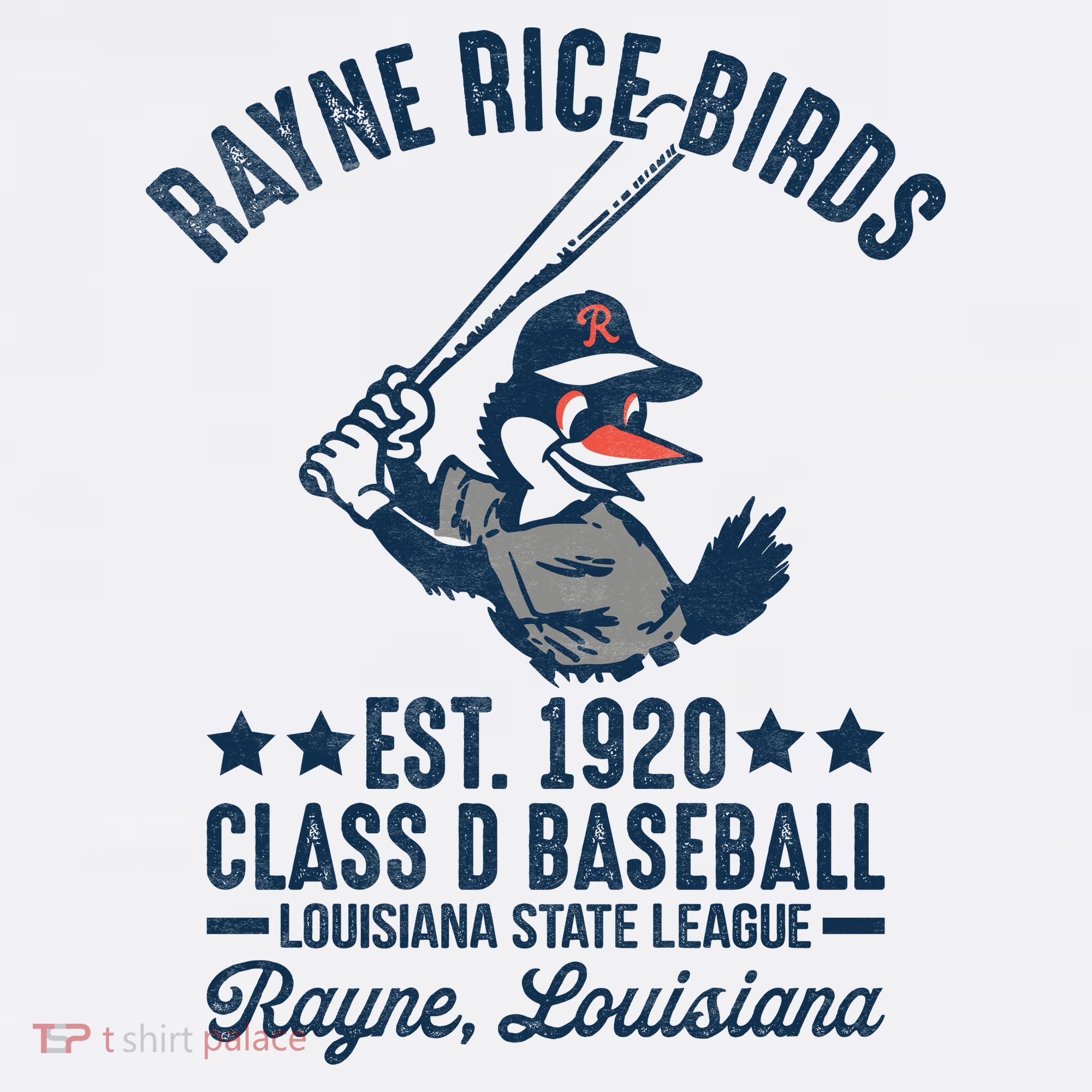 Rayne Rice Birds Louisiana Vintage Baseball Team Tribute T-Shirt