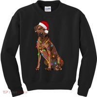 Rhodesian Ridgeback Christmas Lights Xmas Dog Lover Kids Sweatshirt thumb 0