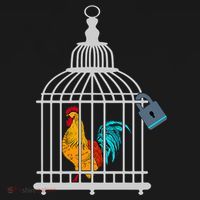 Red Rooster Cock Male Chastity Chicken In Cage Women's Hoodie thumb 2