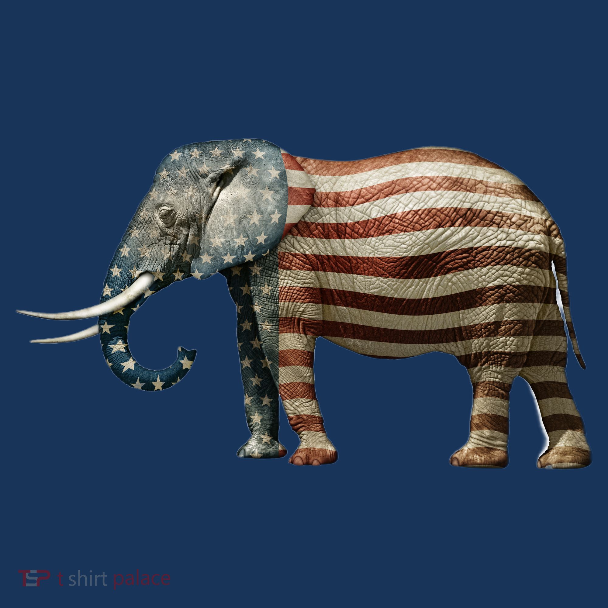 Republican Toddler Hoodie