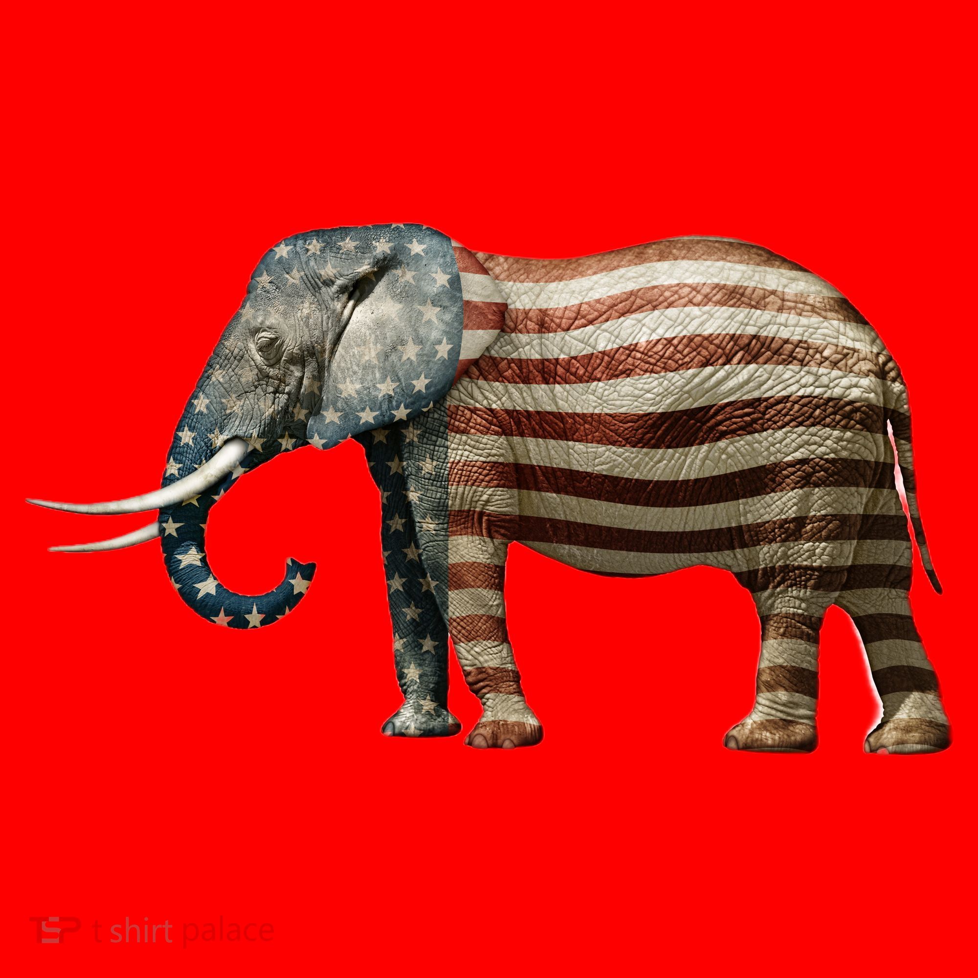 Republican Santa Hat