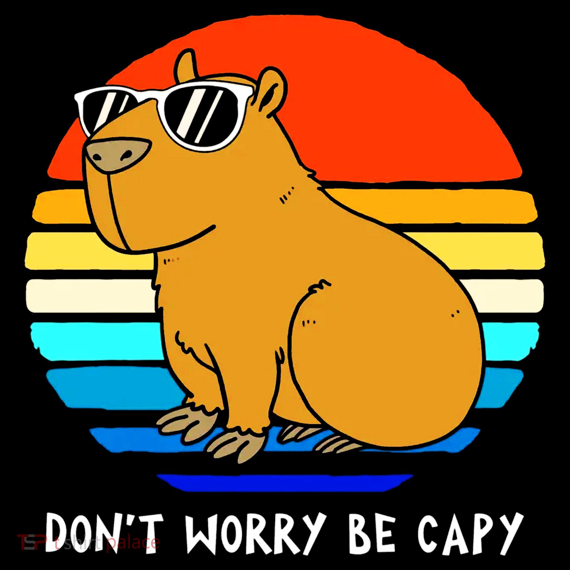 Retro Rodent Funny Capybara Dont Be Worry Be Capy Women's Hoodie