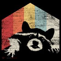 Retro Raccoon Gift Women's Hoodie thumb 2