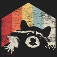Retro Raccoon Gift Hat thumb 2
